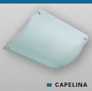 capelina